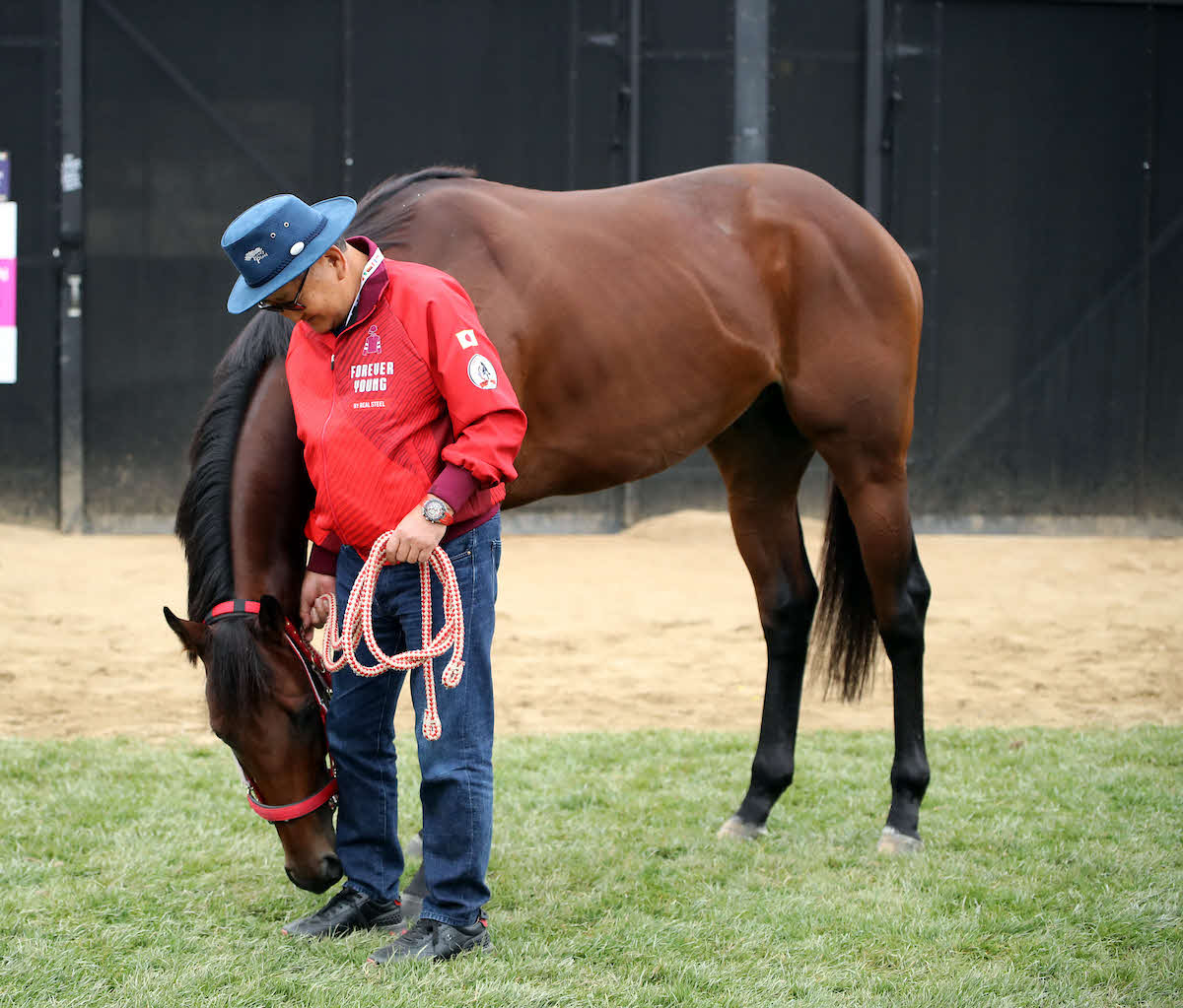 BCクラシック制覇から一夜明けたフォーエバーヤングと矢作師（C）Breeders' Cup