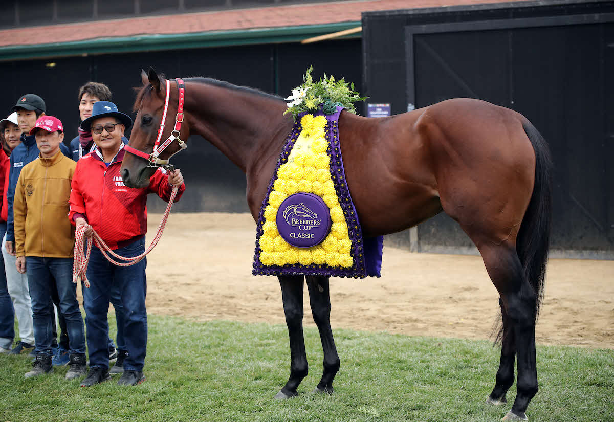 BCクラシック制覇から一夜明けたフォーエバーヤングと矢作師（C）Breeders' Cup