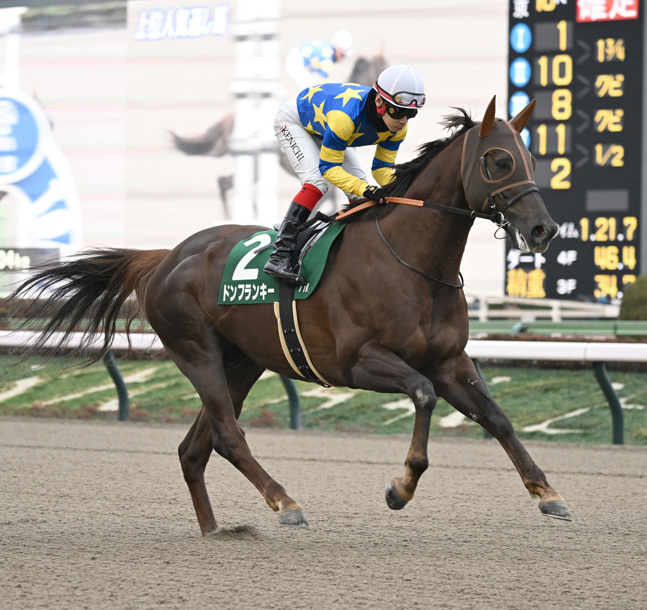 25年2月、根岸Sに出走したドンフランキーと池添騎手