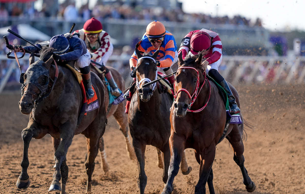 BCクラシックのゴール前（（C）Scott Serio／Eclipse Sportswire／Breeders Cup）