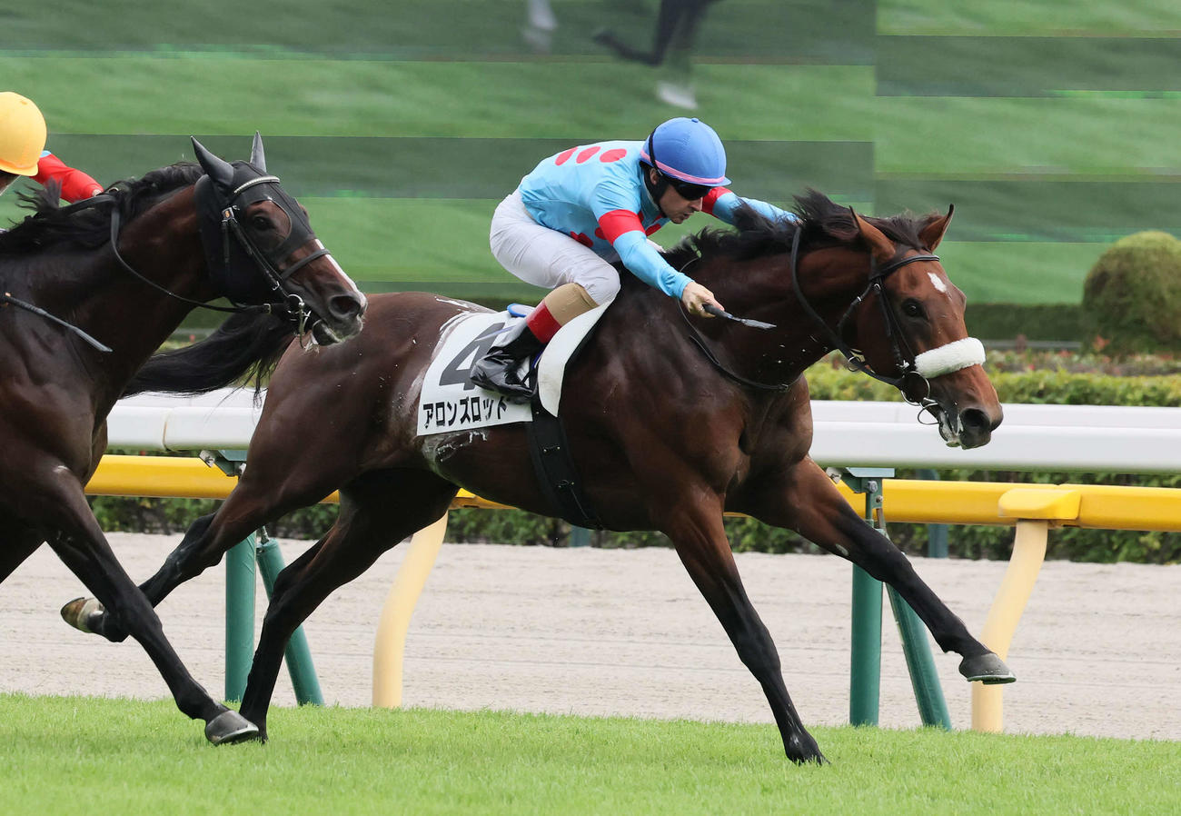 10月12日、3歳上1勝クラスを制したアロンズロッド