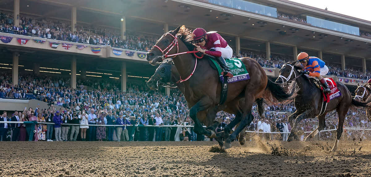 BCクラシックのゴール前（C）Casey Laughter and Scott Serio／Eclipse Sportswire／Breeders Cup