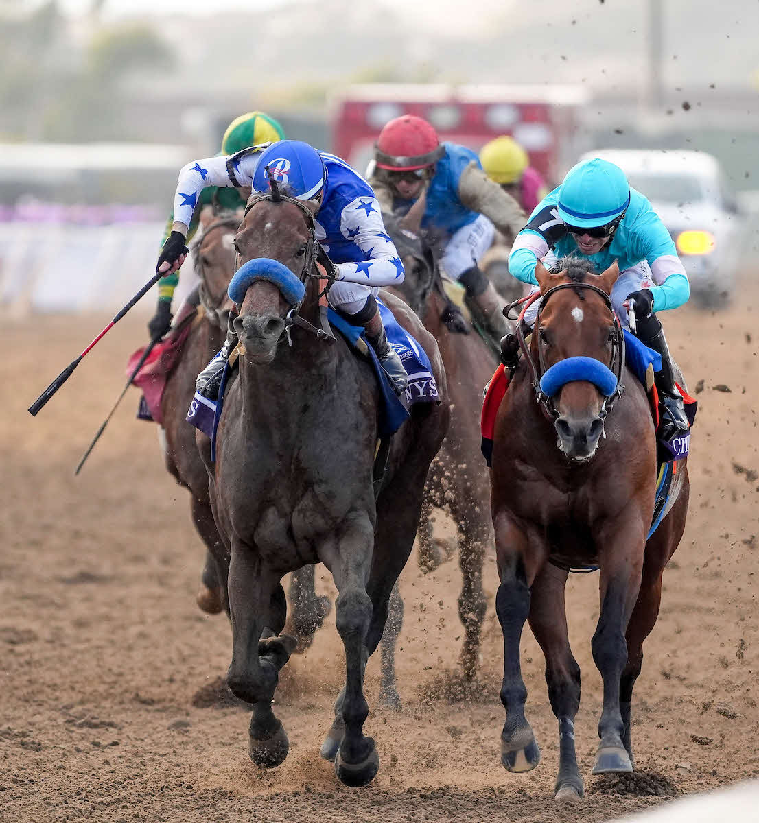 ナイソス（左）（（C）Scott Serio／Eclipse Sportswire／Breeders Cup）