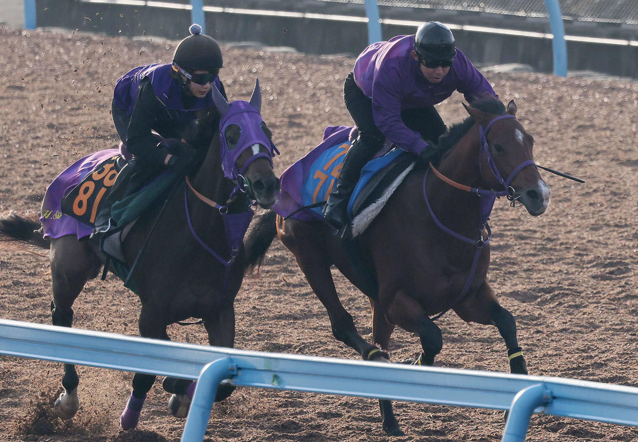 5日、ディマイザキッド（右）は美浦ウッドでミナヅキと併せて追い切られた