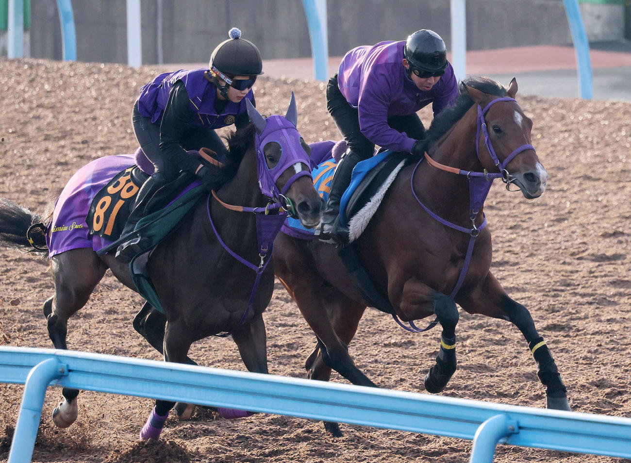 5日、ディマイザキッド（右）は美浦ウッドでミナヅキと併せて追い切られた