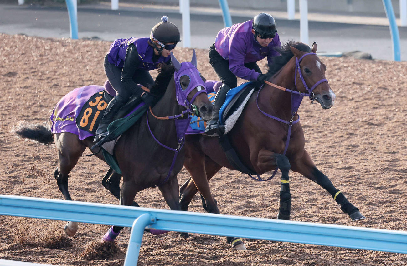 5日、ディマイザキッド（右）は美浦ウッドでミナヅキと併せて追い切られた