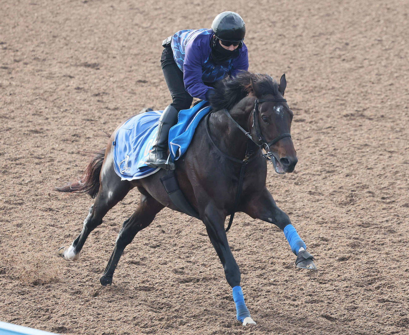 5日、ノースブリッジは美浦ウッドを単走で追い切られた