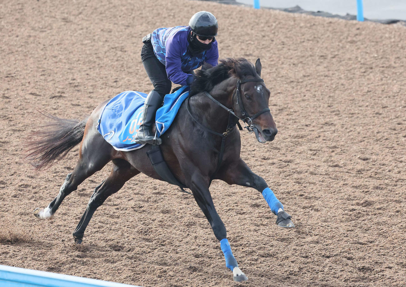 5日、ノースブリッジは美浦ウッドを単走で追い切られた