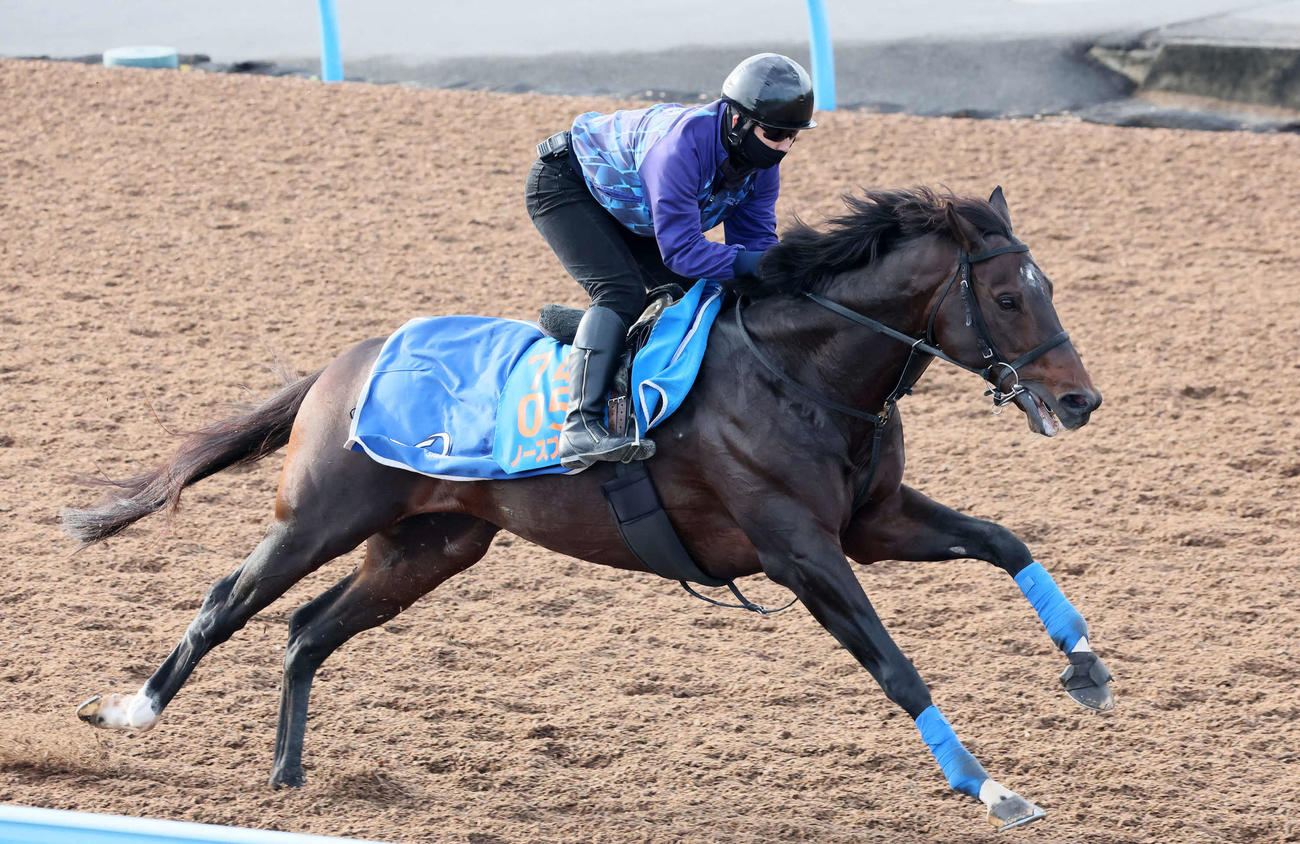 5日、ノースブリッジは美浦ウッドを単走で追い切られた