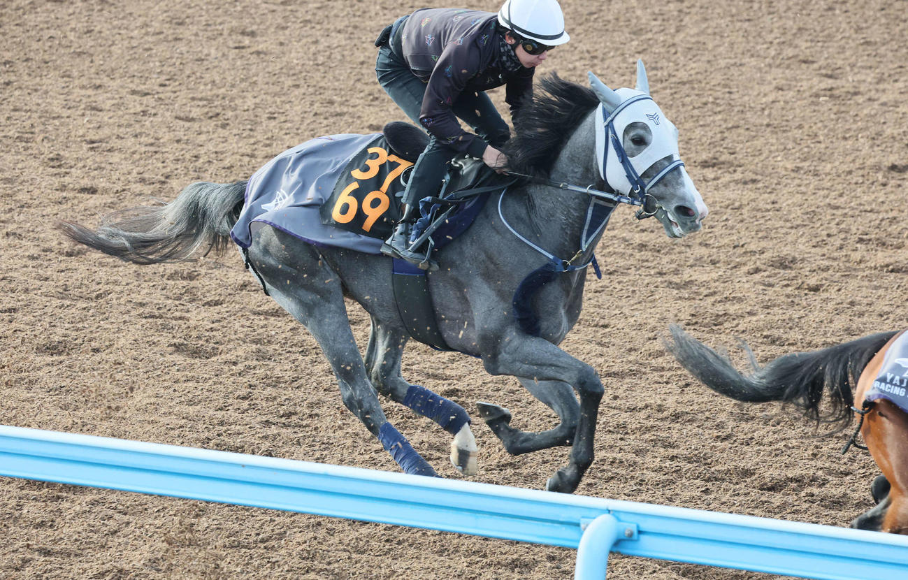5日、レッドスティンガーは美浦ウッドで先行する僚馬を追い上げた