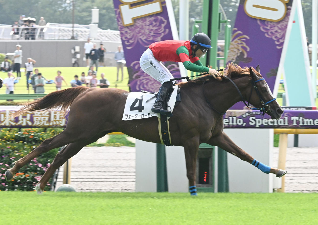 2歳未勝利戦を制したフェーダーローター（2025年10月5日撮影）