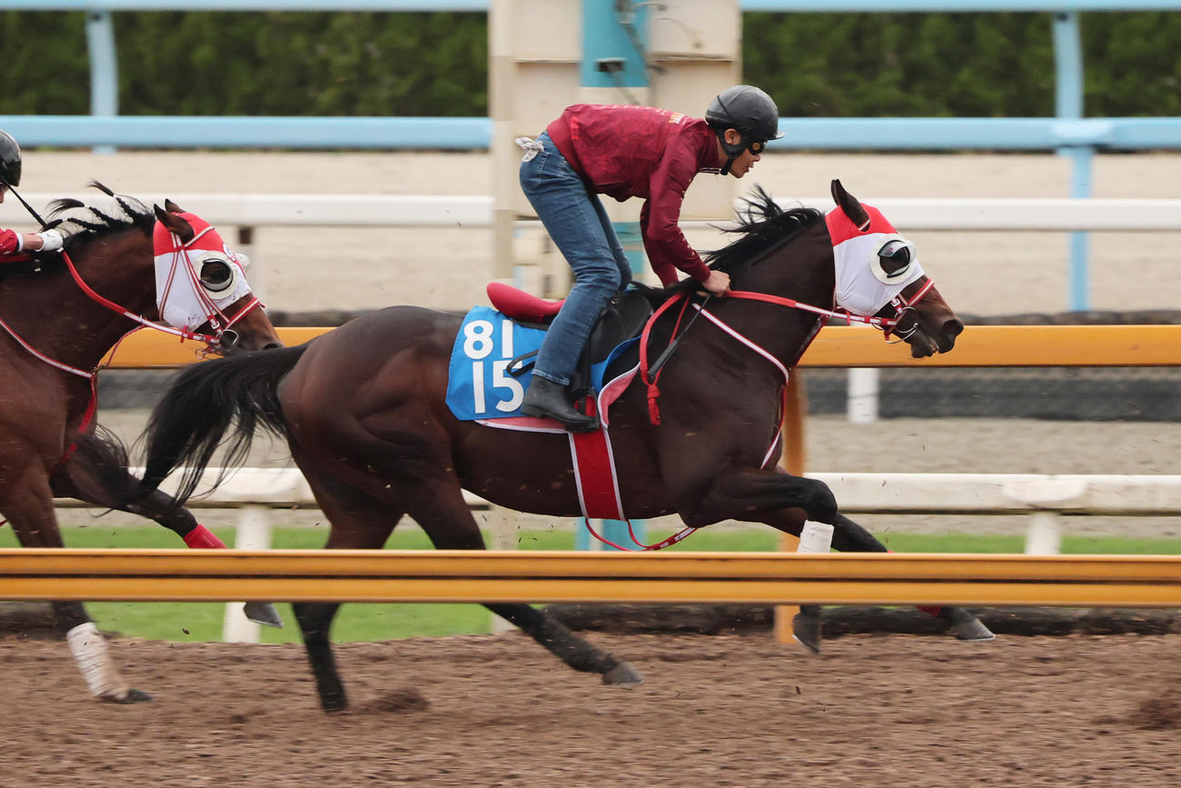 5日、Cウッドコース併せ馬で時計を指したレヴォントゥレット（右）