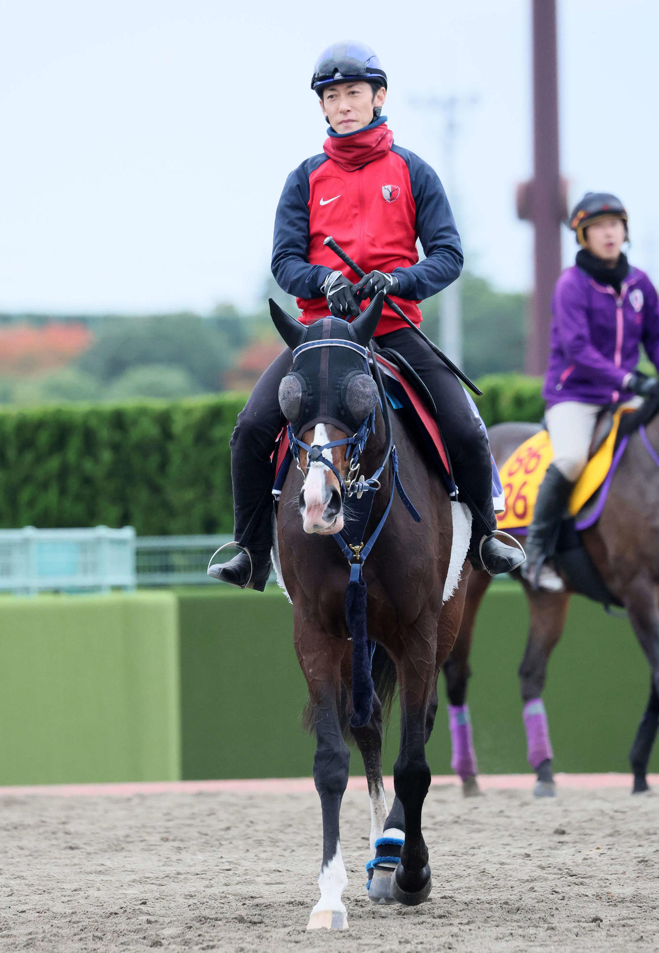 追い切りを終えて馬場を出るボンドガールと津村騎手（撮影・丹羽敏通）