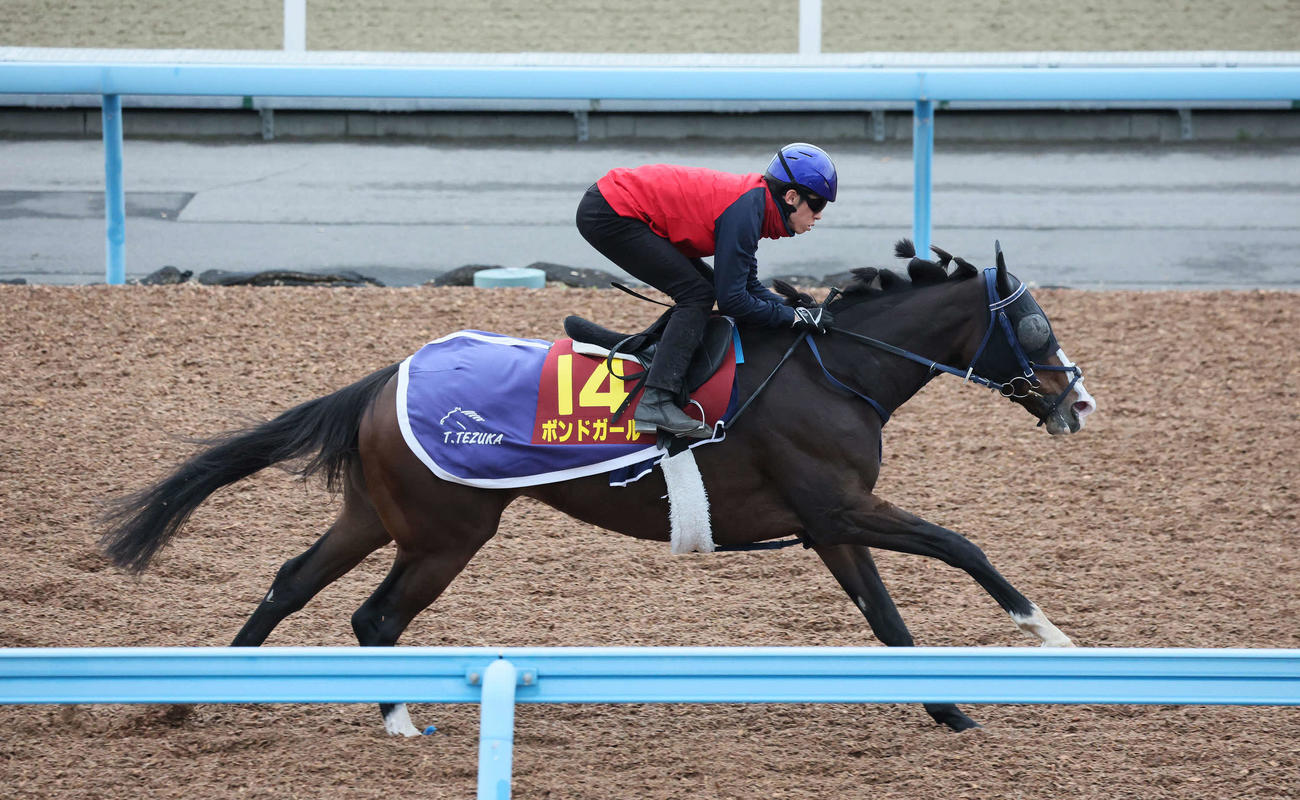 ボンドガールは津村明秀騎手を背に美浦ウッドを単走で追い切られた（撮影・丹羽敏通）