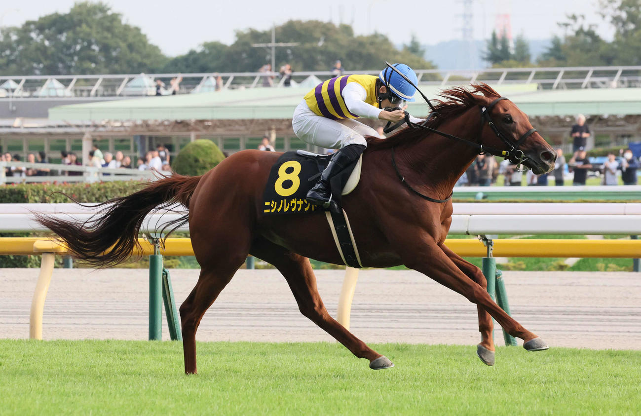オクトーバーSで波乱を演出したニシノレヴナントと野中騎手