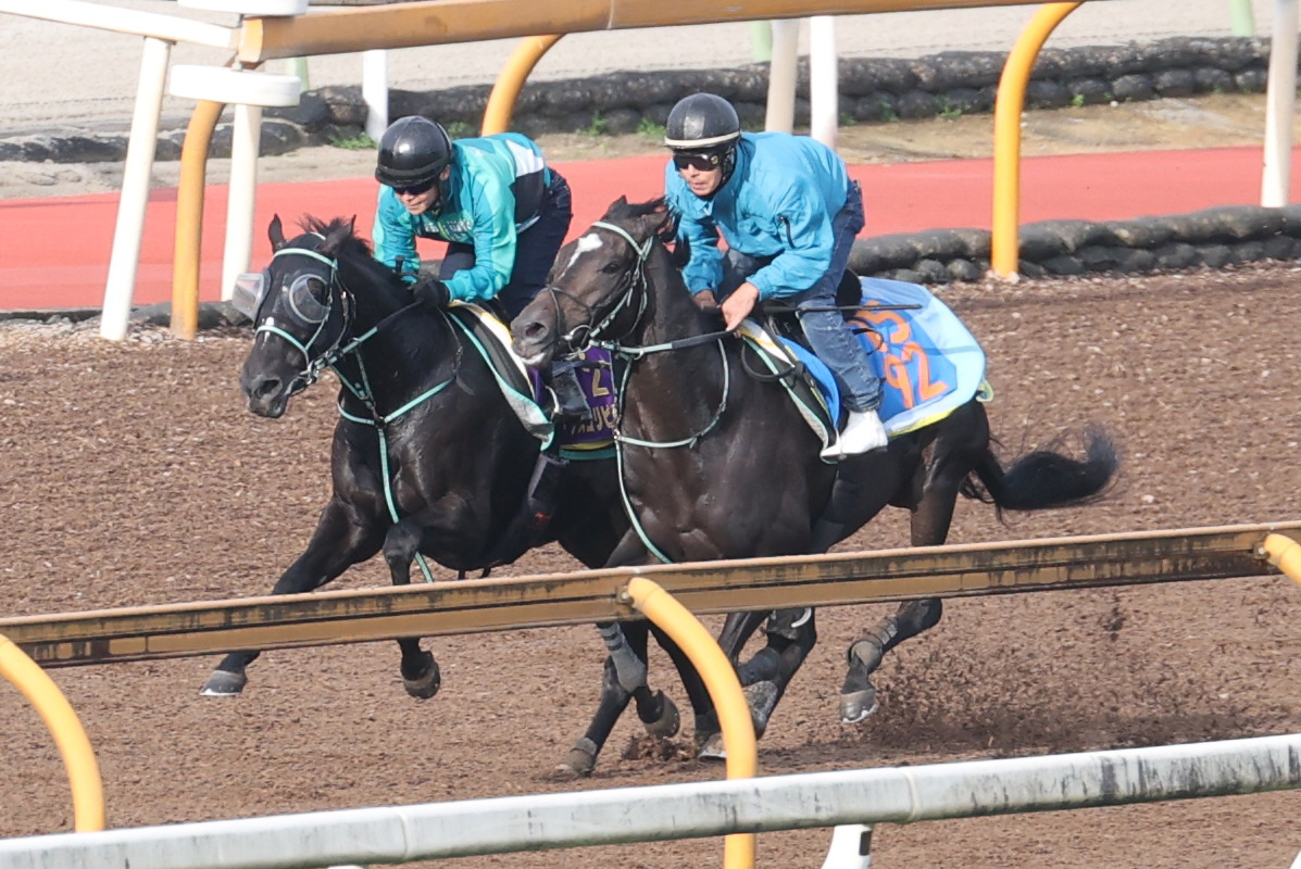 CWコースにて併せ馬で追い切るアスコリピチェーノ（左）
