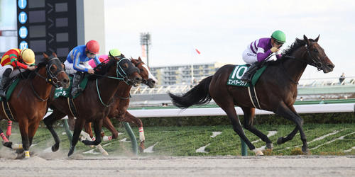 武蔵野Sを制したエンペラーワケア＝2024年11月9日