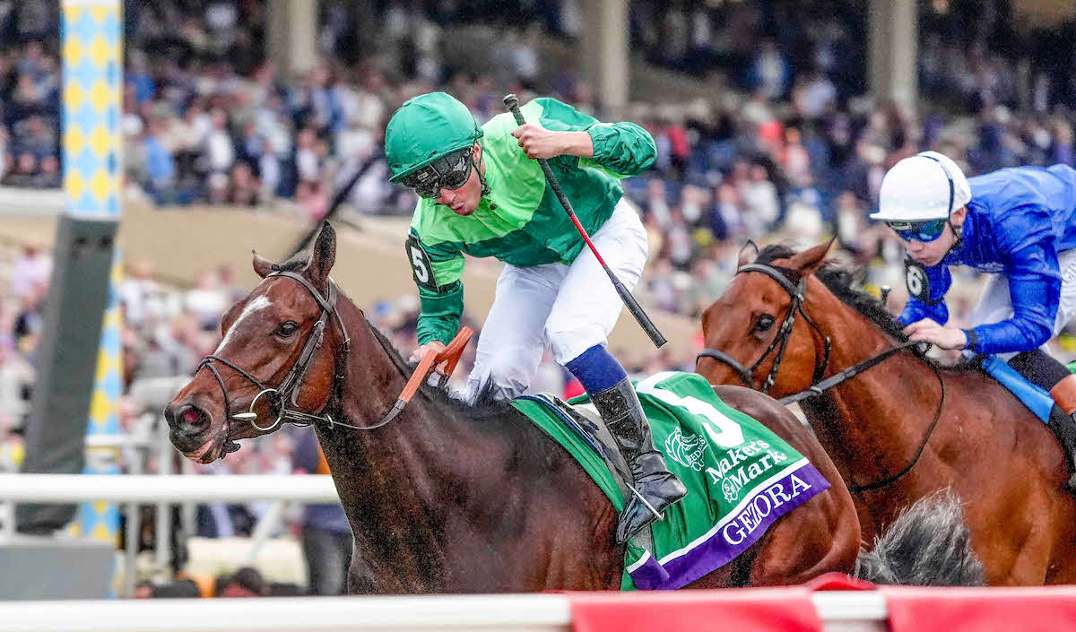BCフィリー＆メアターフを制したゲゾラ（C）Scott Serio／Eclipse Sportswire／Breeders Cup