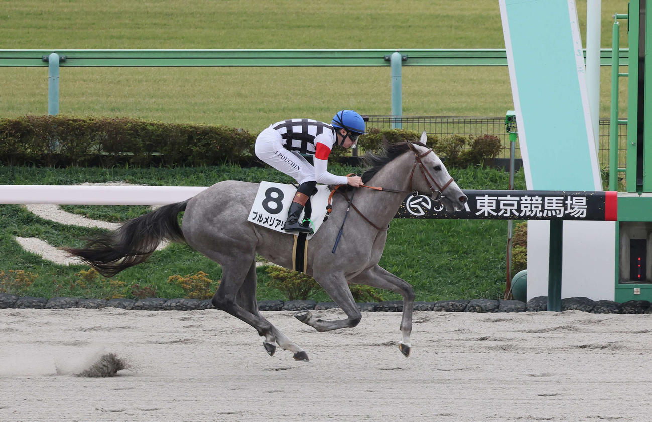 東京1R、2歳未勝利戦を制したプルメリアリノとプーシャン騎手（撮影・丹羽敏通）