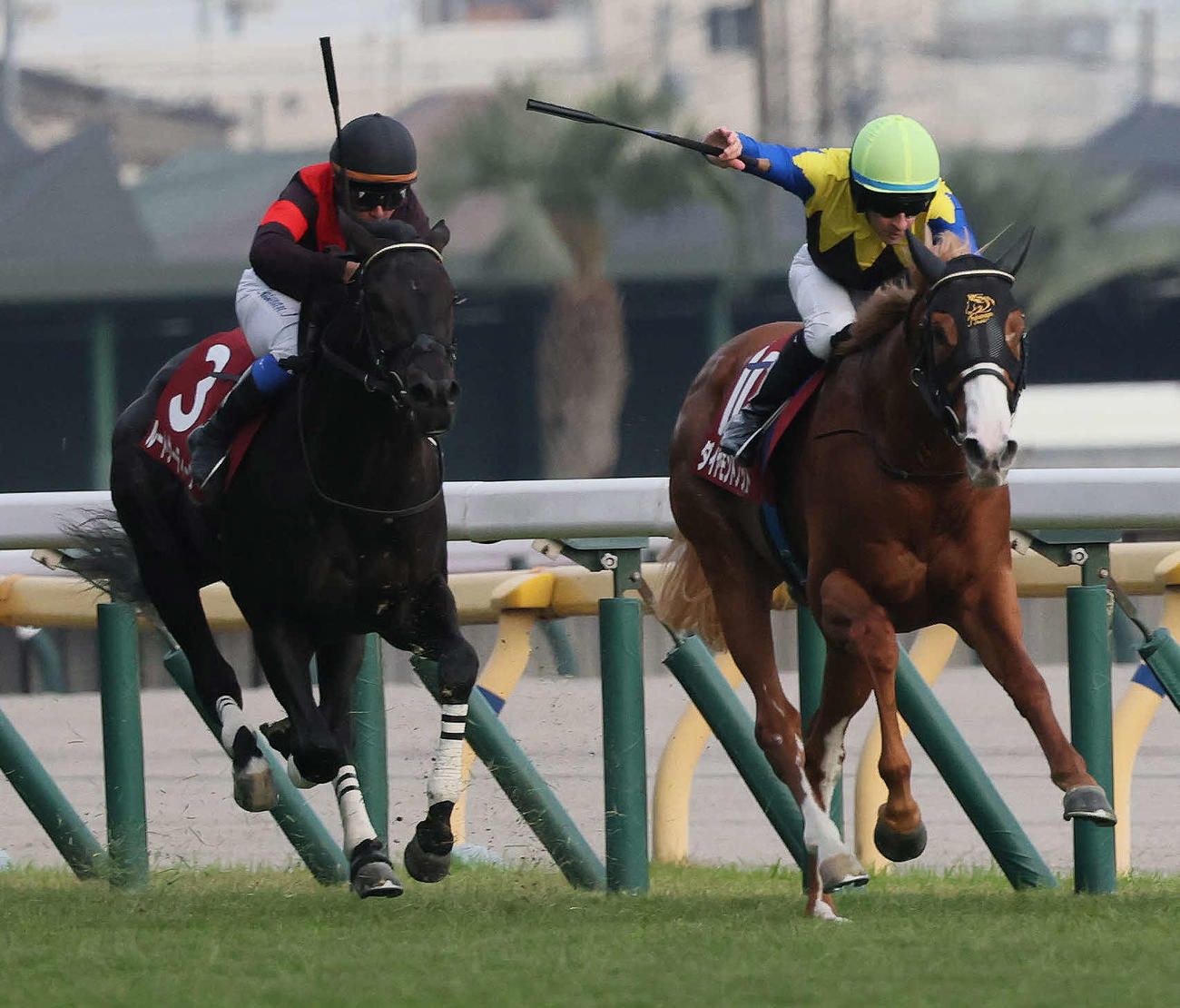 京王杯2歳Sを制したダイヤモンドノットとルメール騎手（右）（撮影・丹羽敏通）