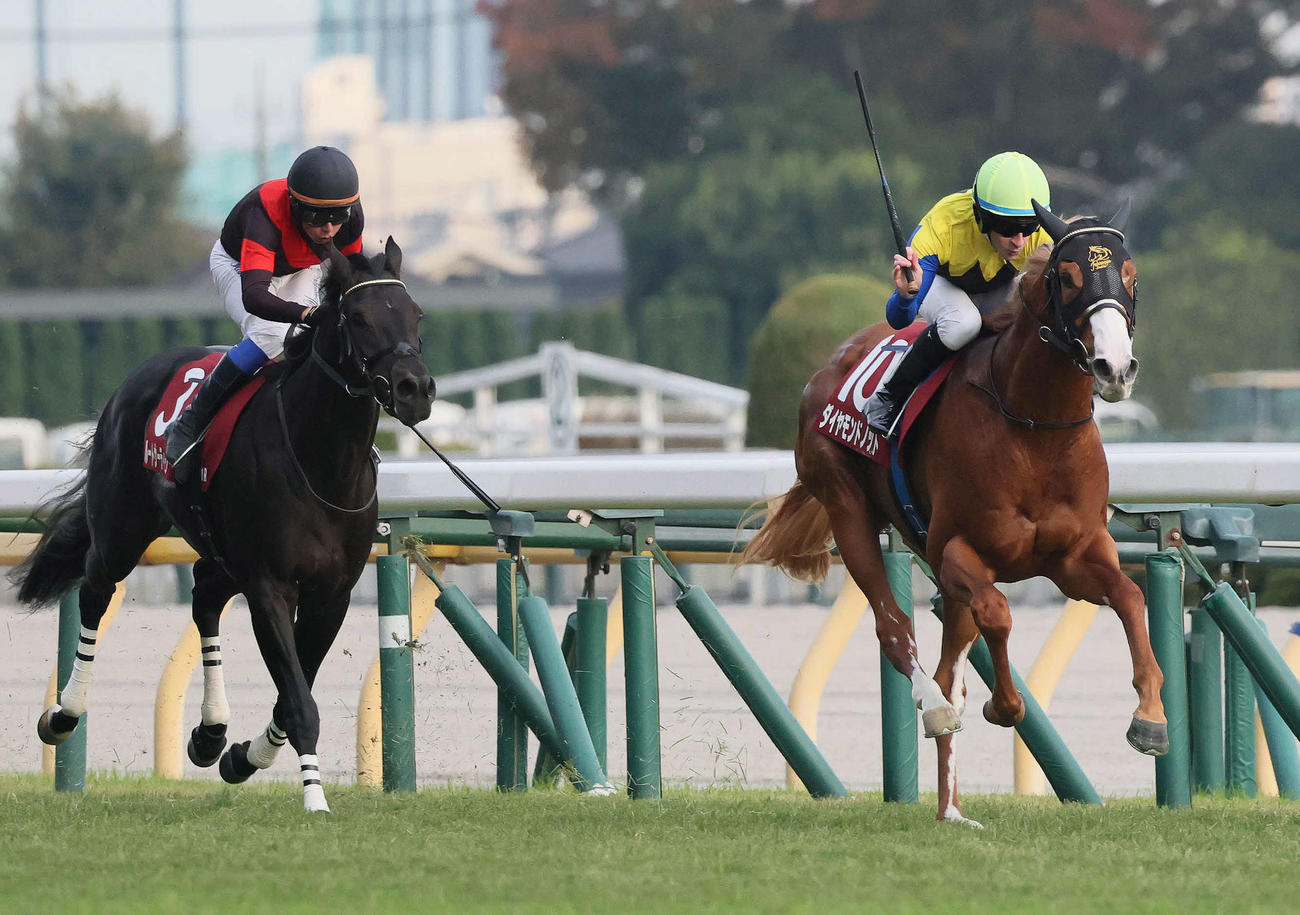 京王杯2歳Sを制したダイヤモンドノットとルメール騎手（右）（撮影・丹羽敏通）