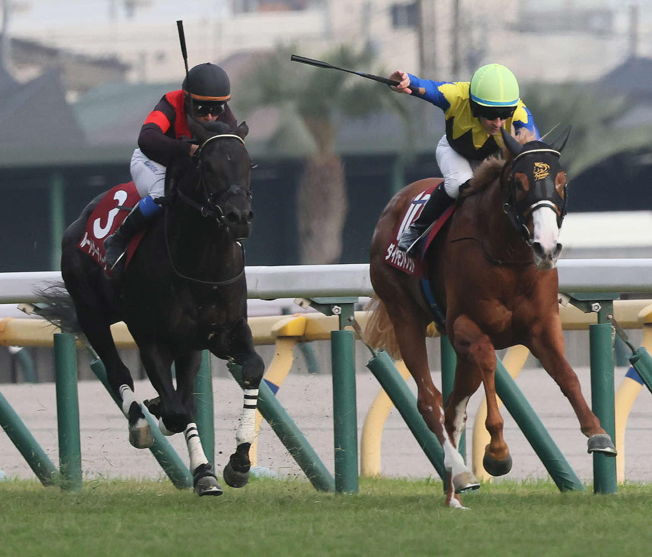 京王杯2歳Sを制したダイヤモンドノットとルメール騎手（右）（撮影・丹羽敏通）