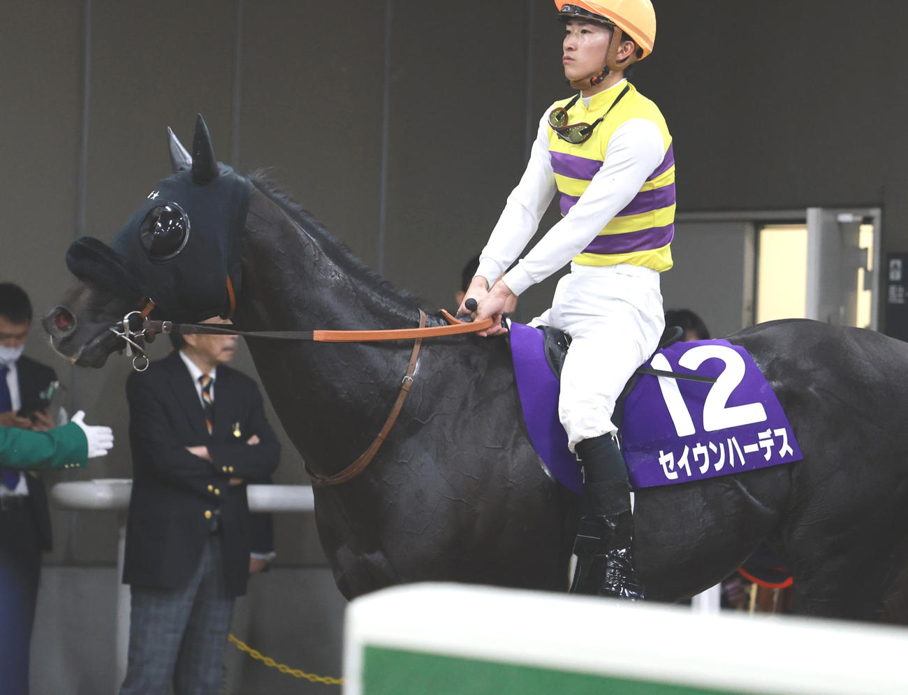 天皇賞・秋7着に敗れたセイウンハーデス