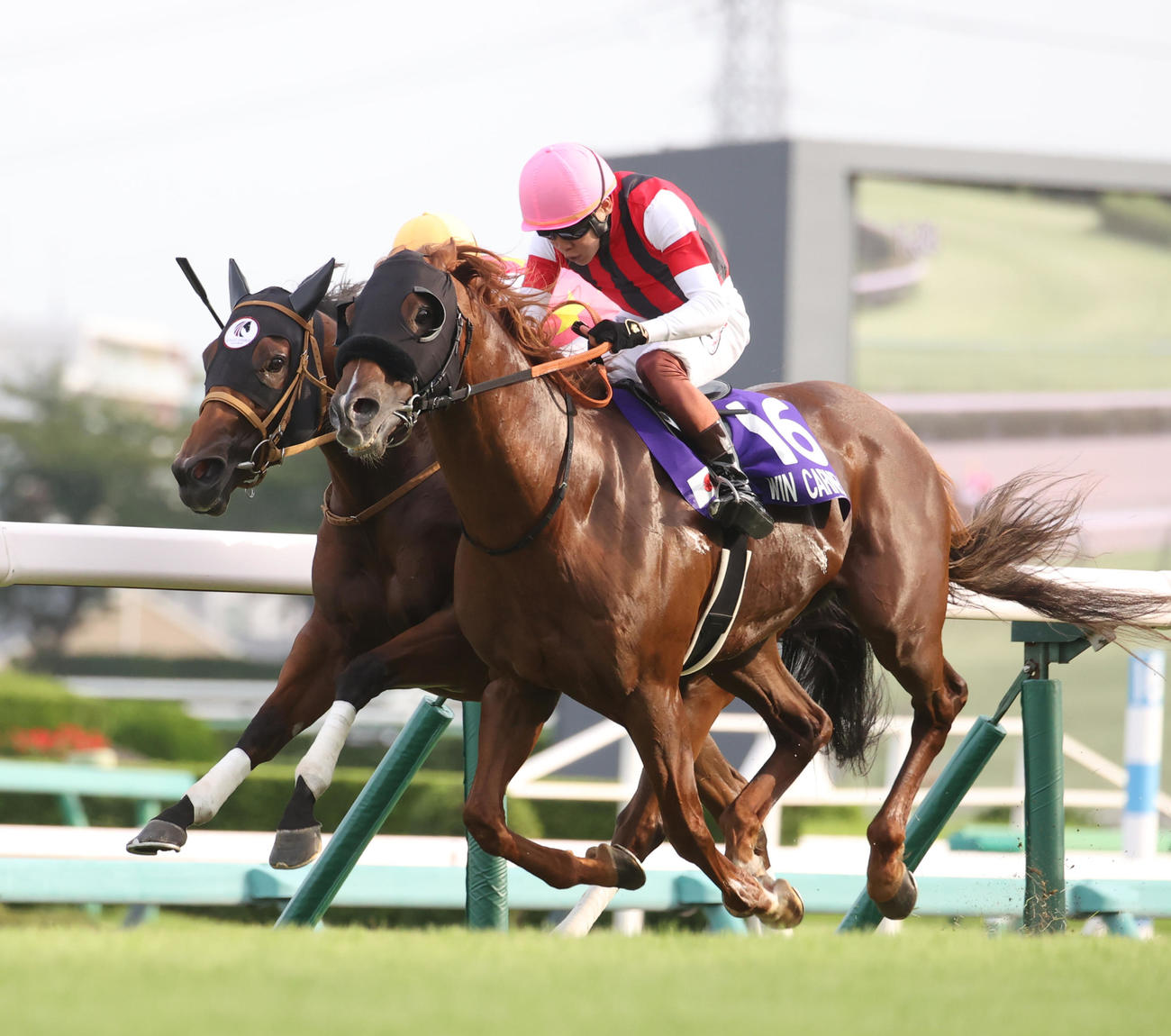 スプリンターズS2着に敗れたジューンブレア（左）と武豊騎手