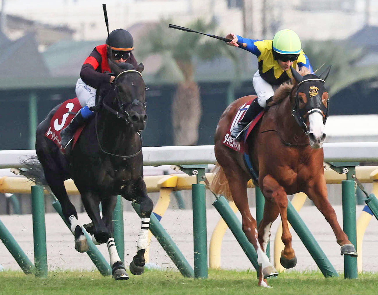 京王杯2歳Sを制したダイヤモンドノットとルメール騎手（右）（撮影・丹羽敏通）