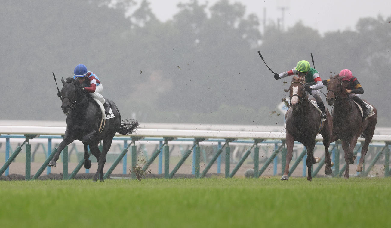 京都5R、逃げ切って新馬戦を制したロブチェン（左）（撮影・白石智彦）