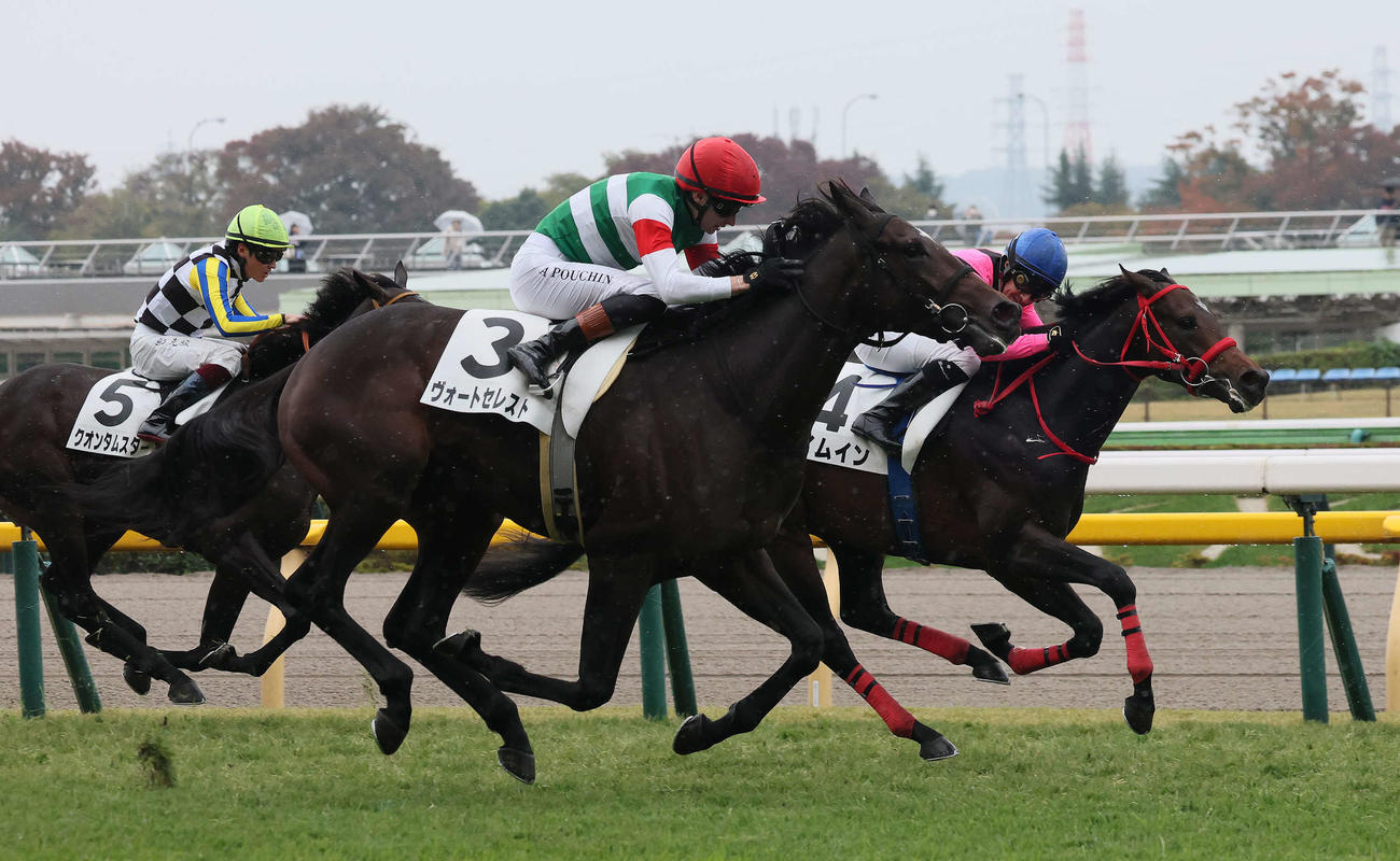 東京5R、差し切って2歳新馬戦を制したヴォートセレストとプーシャン騎手（手前）（撮影・丹羽敏通）
