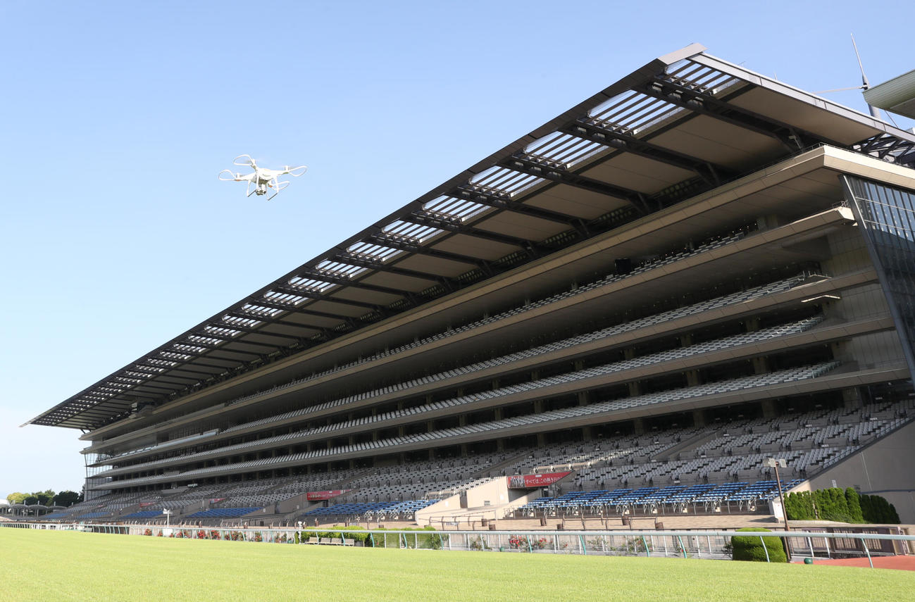 東京競馬場（2018年5月撮影）