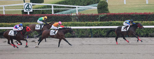 ピースサイン好位から抜け出す 横山武騎手「新馬っぽくない良い内容