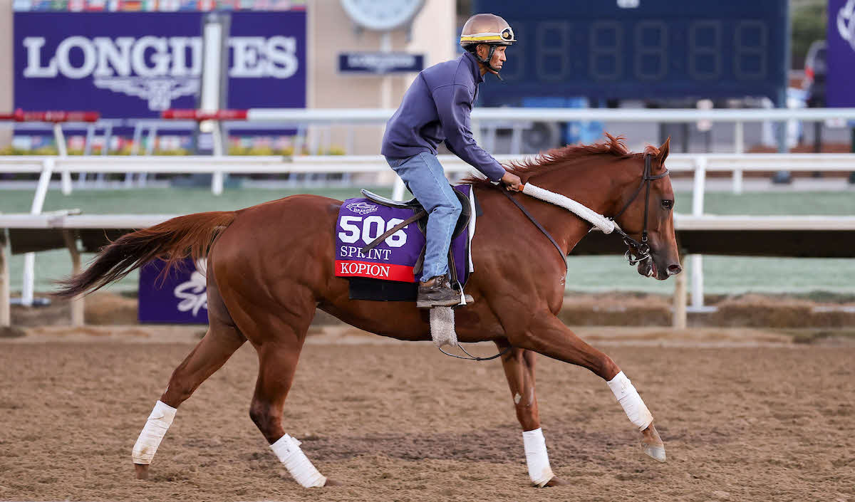 デルマー競馬場で調整するコピオン（（C）Tim Sudduth／Eclipse Sportswire／Breeders Cup）