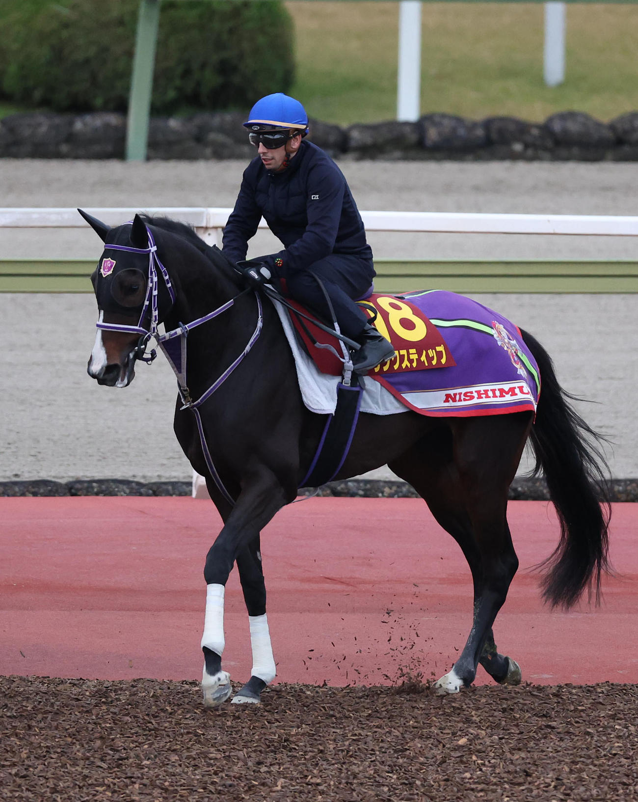 5日、C・デムーロ騎手を背に馬場入りするリンクスティップ