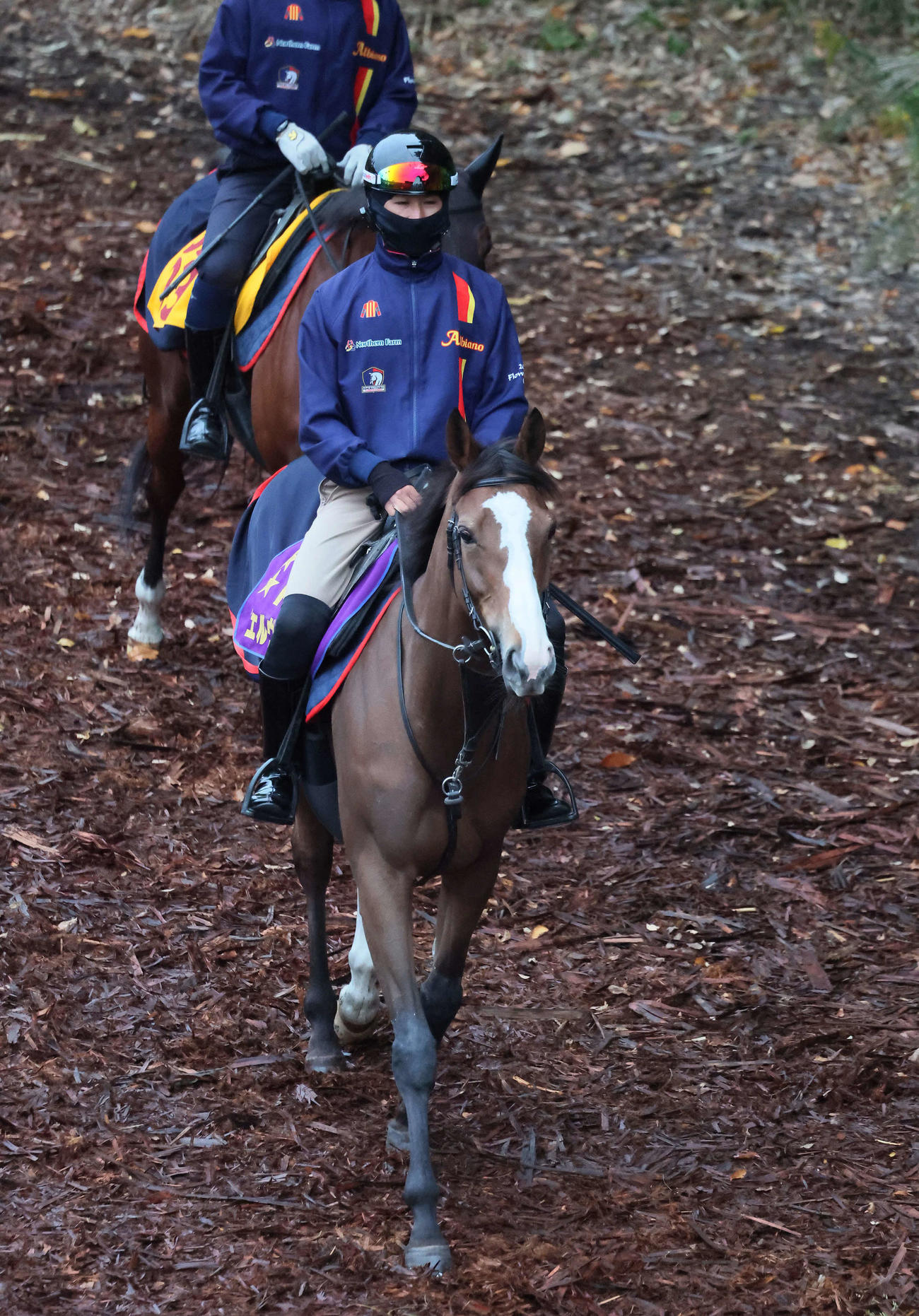 6日、逍遥馬道で運動するチェルヴィニア