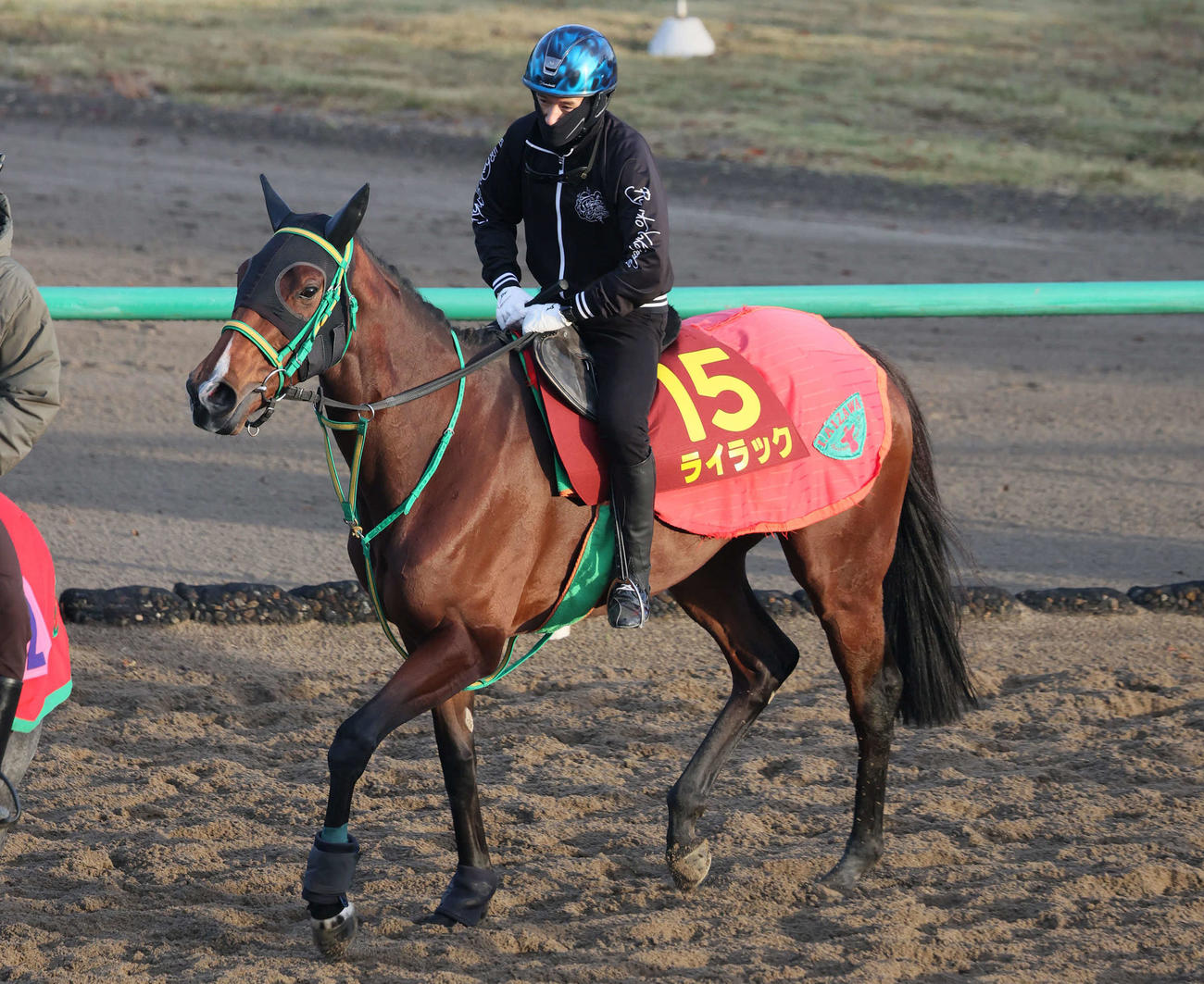 5日、角馬場で運動するライラック