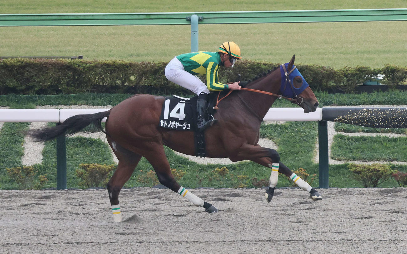 東京9R、オキザリス賞を制したサトノボヤージュと岩田望騎手（撮影・丹羽敏通）