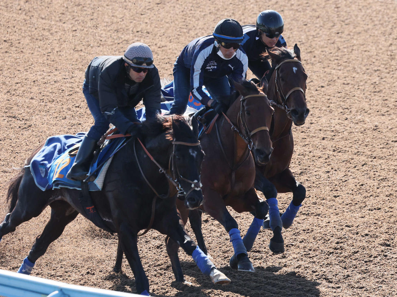 12日、カナテープ（中央）は美浦ウッドを3頭併せで追い切られた