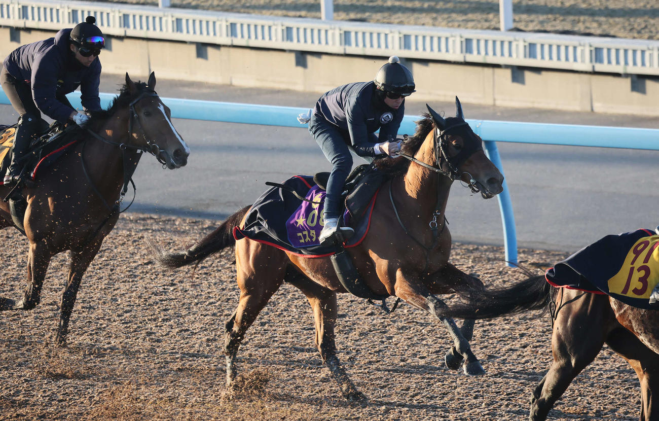 12日、コスタノヴァ（中央）は美浦ウッドを3頭併せで追い切られた
