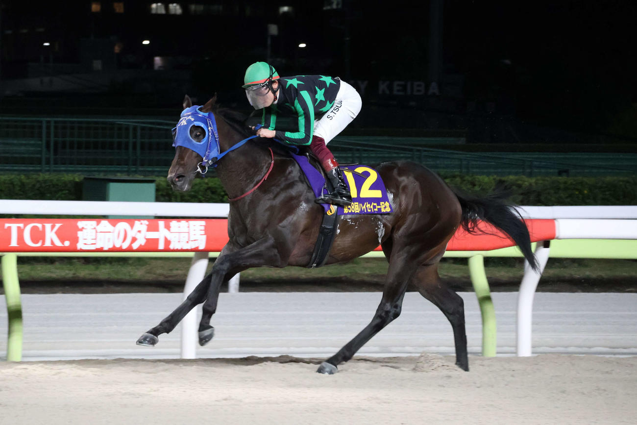 直線で抜け出しハイセイコー記念を制したゼーロスと笹川翼騎手