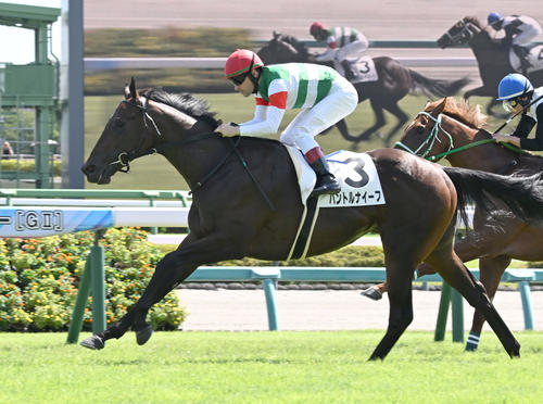 パントルナイーフはルメール騎手とのコンビで東スポ杯2歳Sへ／有力馬