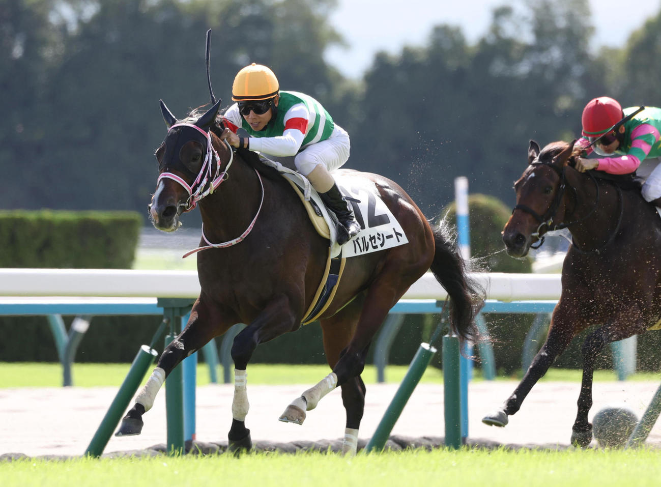 10月13日京都6R新馬戦を制したバルセシート