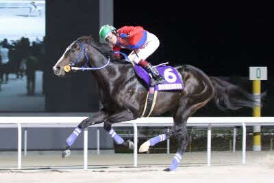 東海菊花賞を制したマッドルーレット（写真提供・愛知県競馬組合）