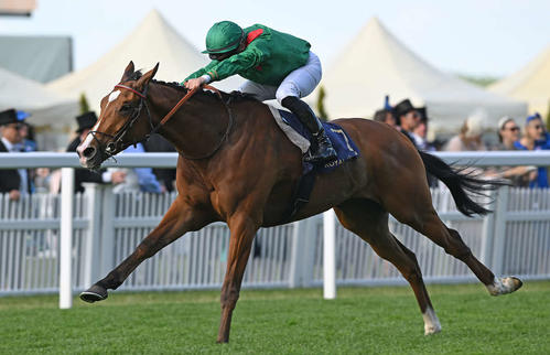 仏のカランダガンが130ポンドで世界ランク1位に浮上！次走はジャパン