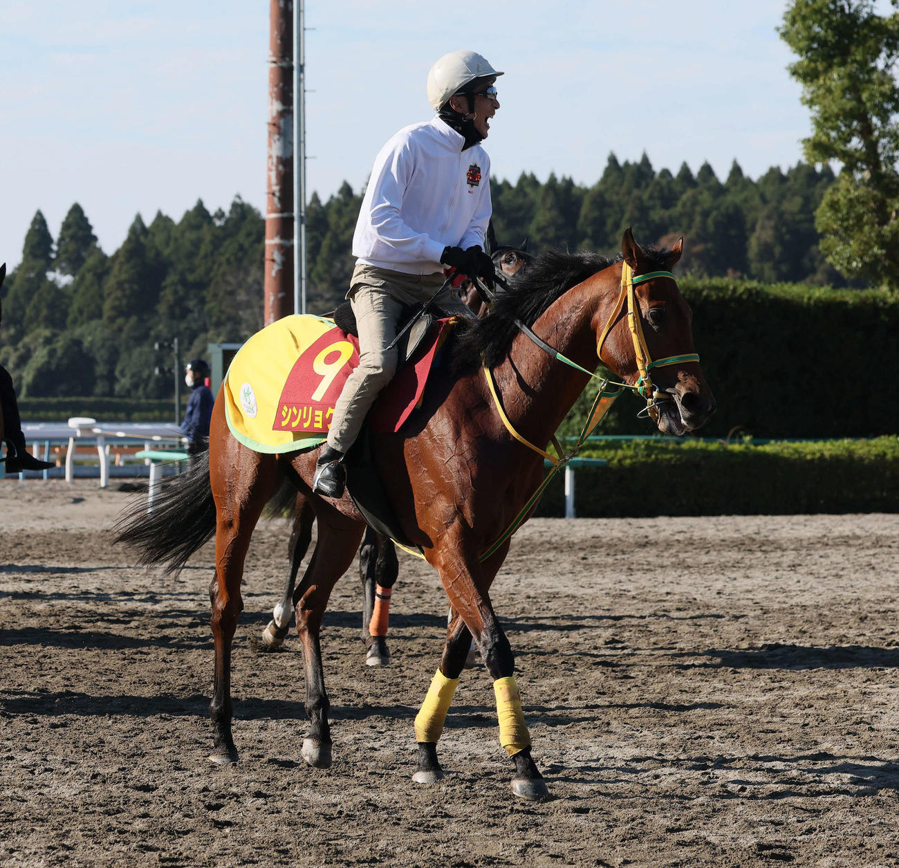12日、追い切りを終えて馬場を出るシンリョクカと竹内師
