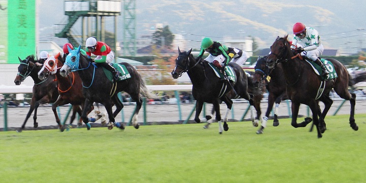 福島記念を制したアラタ（右端）＝2024年11月10日