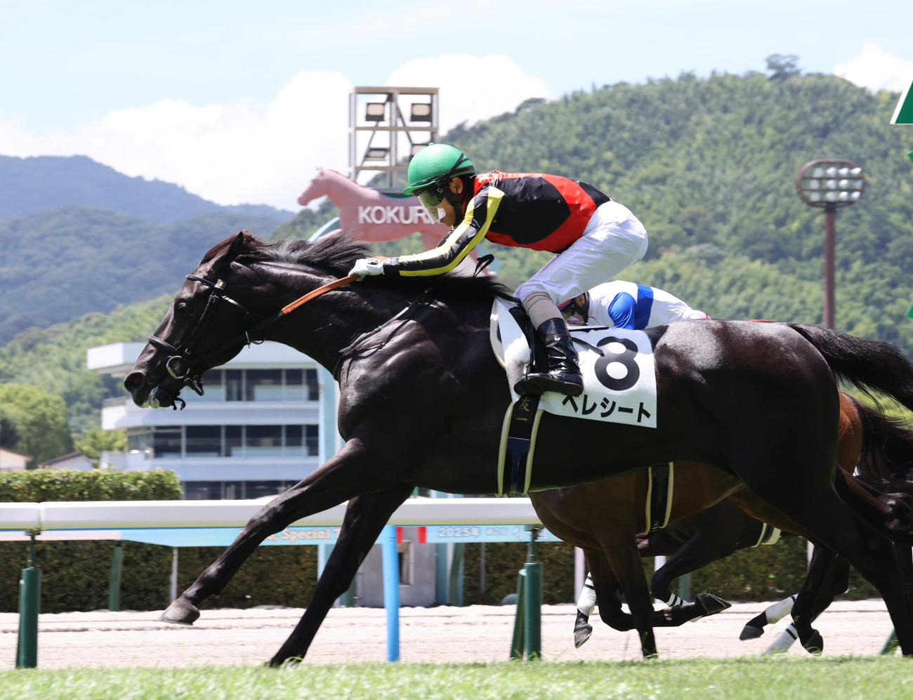 7月20日小倉5Rの新馬戦を制したベレシート