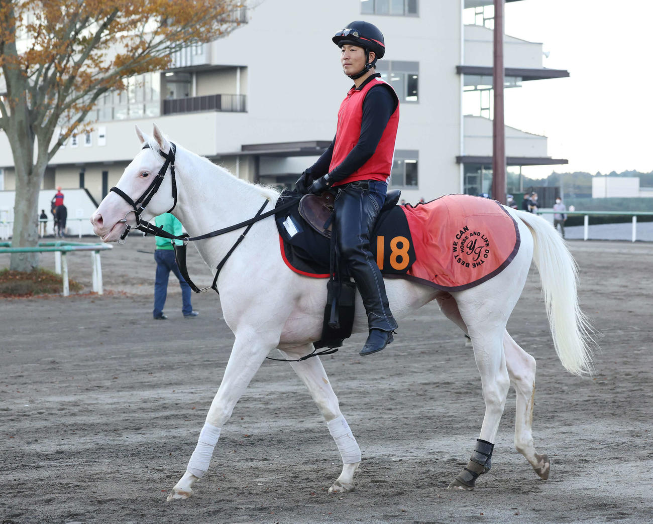 白毛馬アオラキ（2022年撮影）