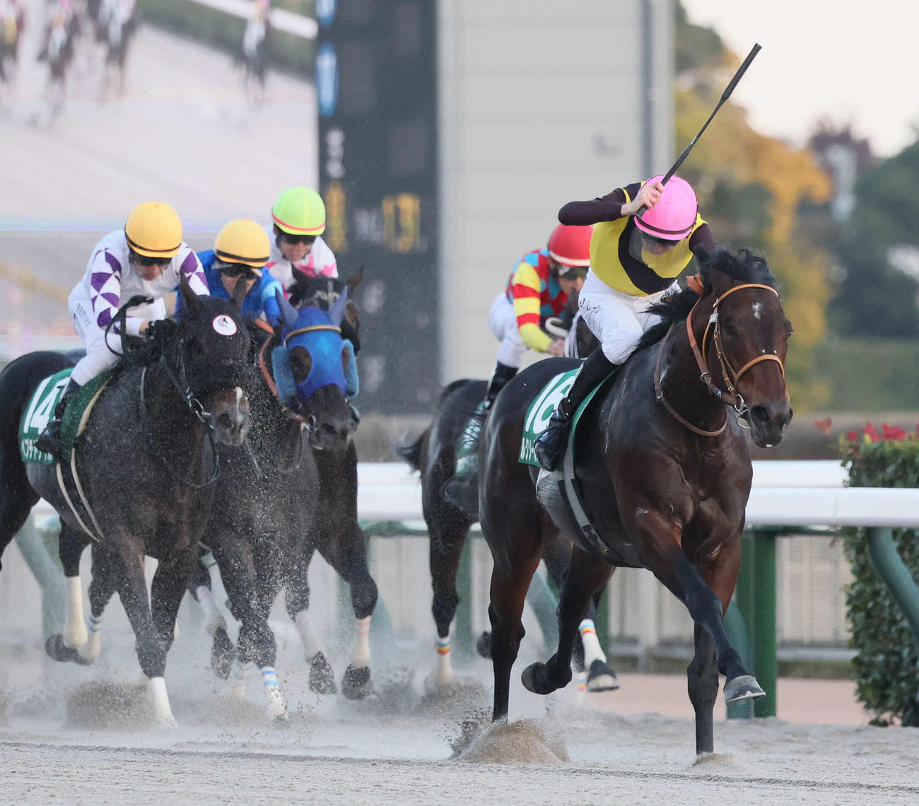 武蔵野Sを制したルクソールカフェとレーン騎手（右）（撮影・丹羽敏通）